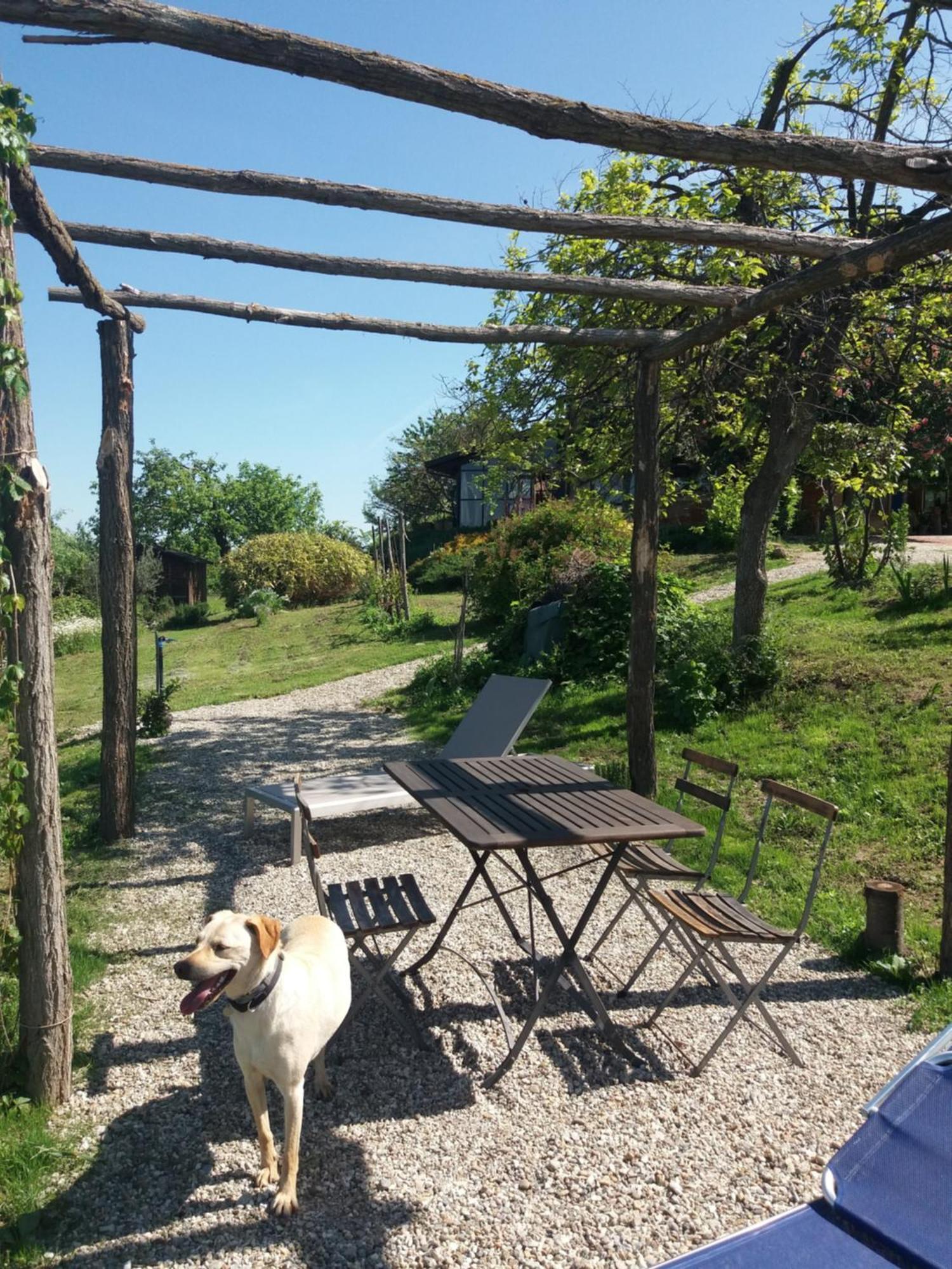 Monforte dʼAlba B&B Sant'Anna 21 المظهر الخارجي الصورة